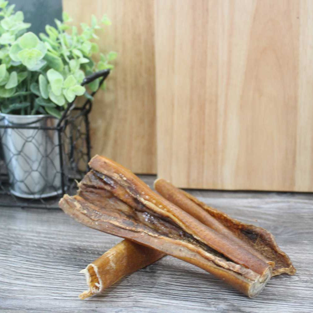 Beef - Pizzle (24cm)