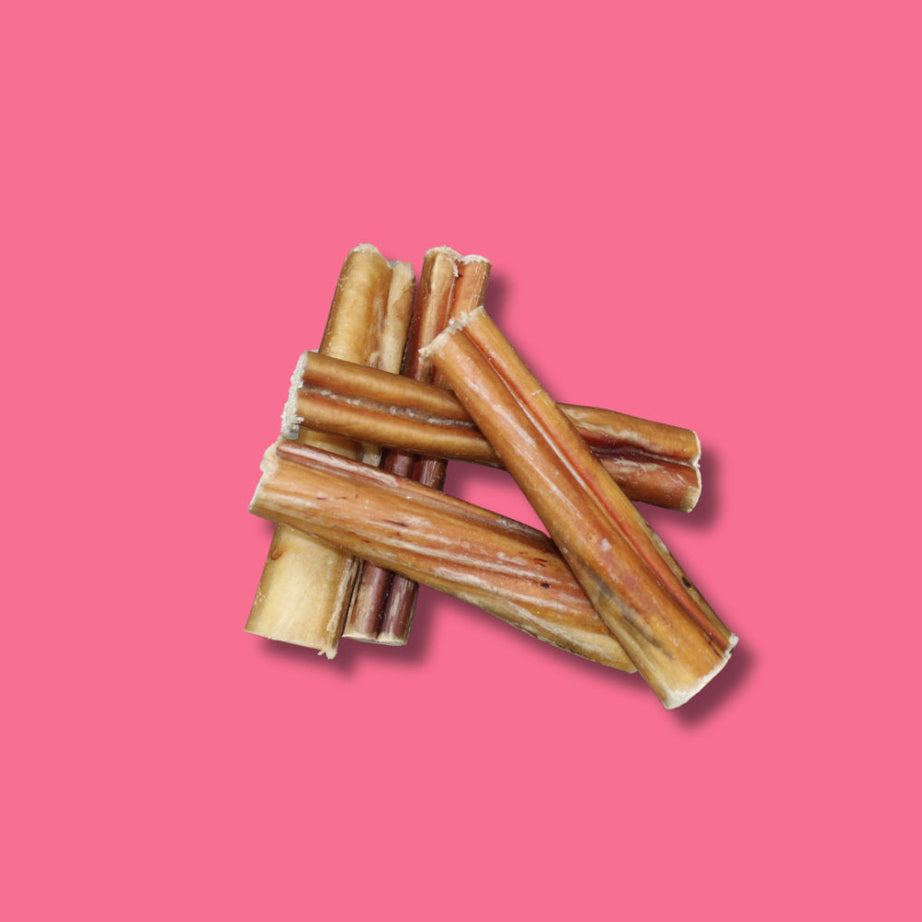 Beef - Pizzle (24cm)