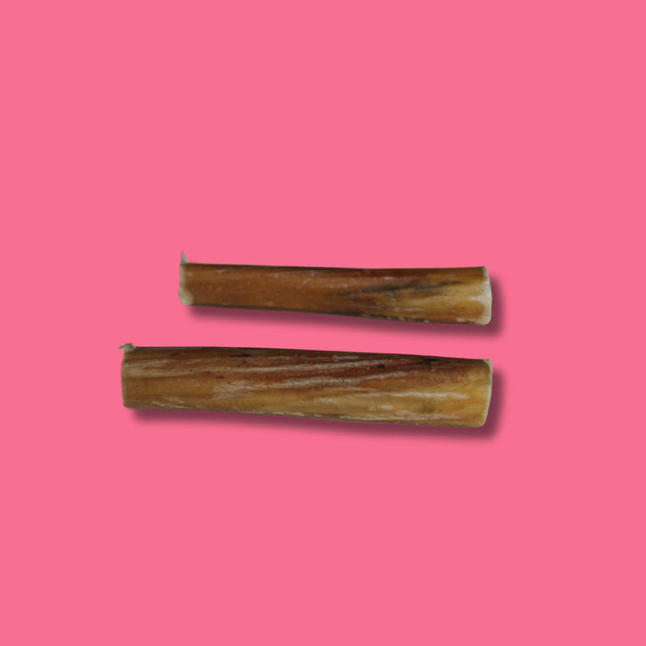 Beef - Pizzle (24cm)